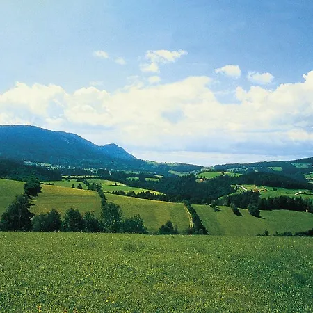 فندق Gasthof-hotel Jaritz 3*